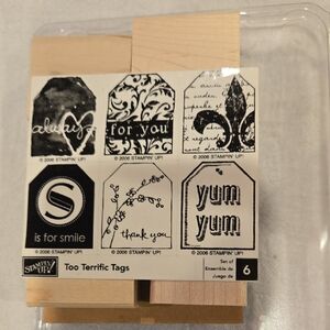Stampin' Up! Too Terrific Tags Set New